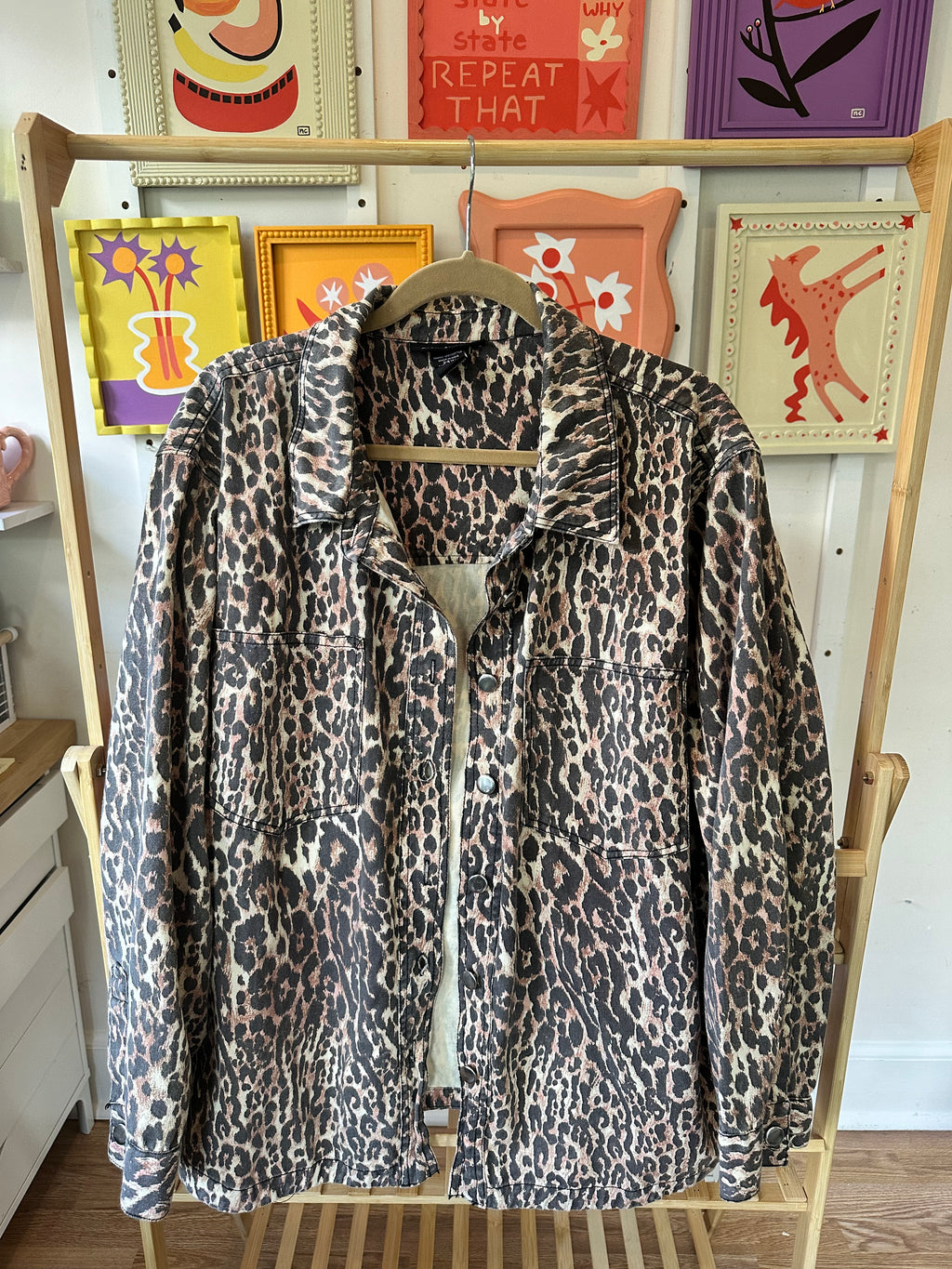 Painted Jacket: Leopard Color Wheel